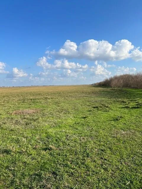 11401 Fm 1994 Guy, TX 77444