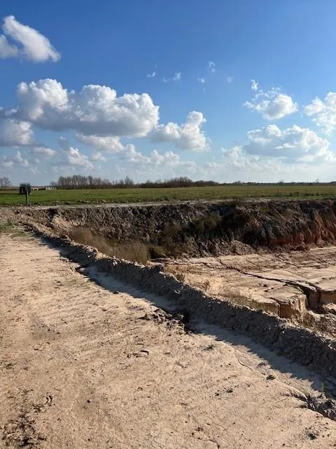 11401 Fm 1994 Guy, TX 77444
