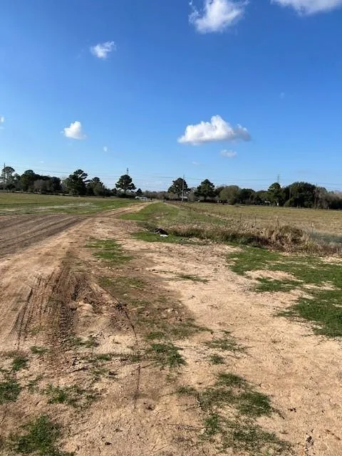 11401 Fm 1994 Guy, TX 77444