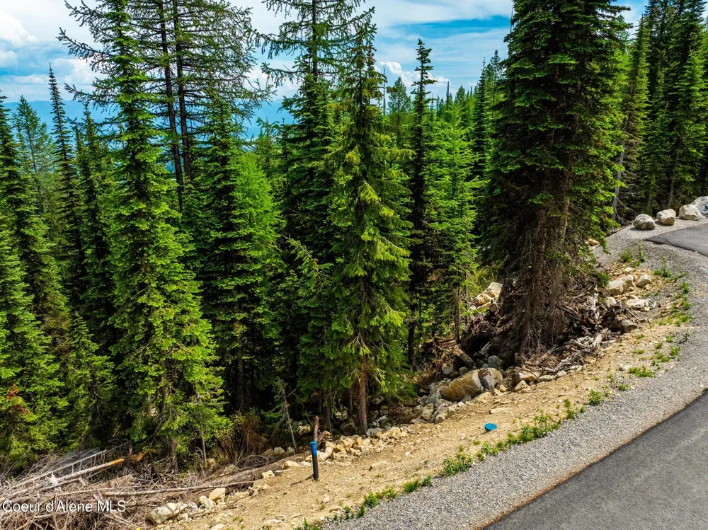 NNA SNAG LINE LANE L6 B2 Sandpoint, ID 83864