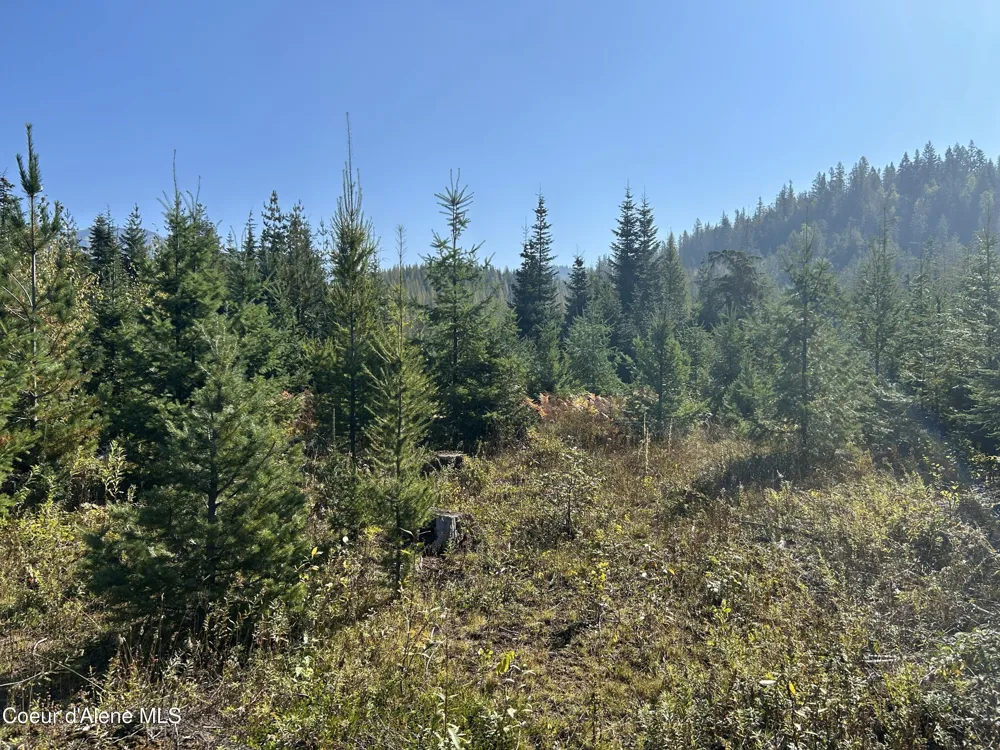 Tract 3 USFS 2294 Clark Fork, ID 83811