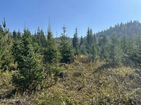 Tract 3 USFS 2294
