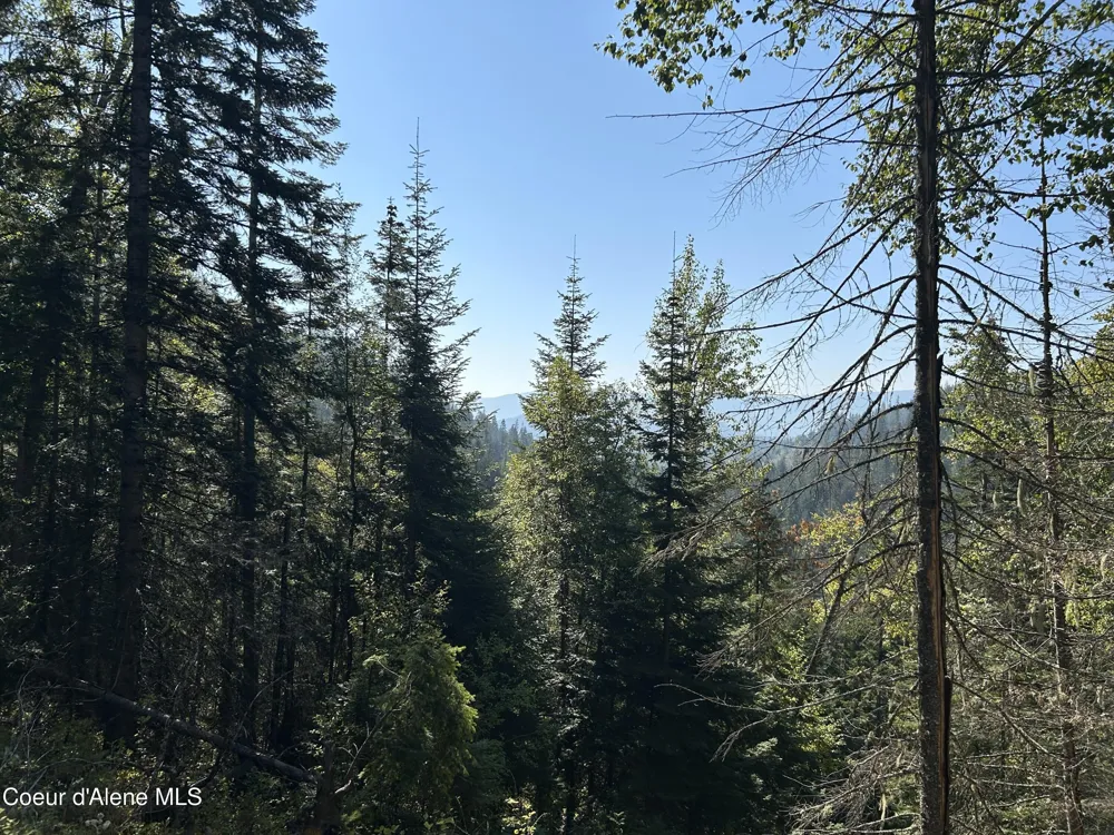 Tract 3 USFS 2294 Clark Fork, ID 83811