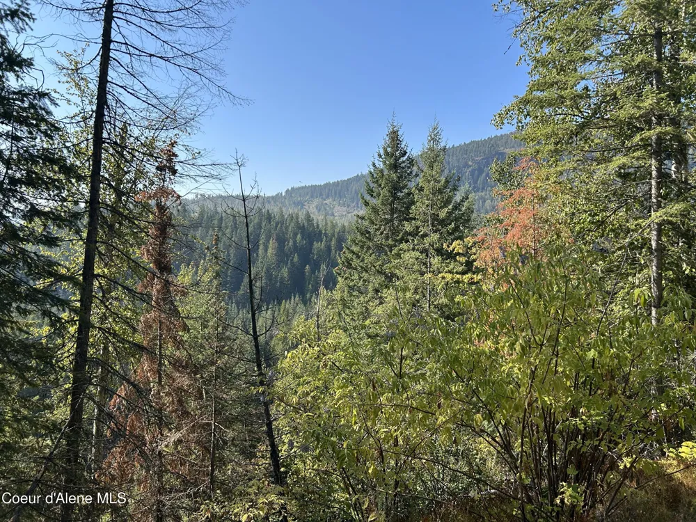 Tract 3 USFS 2294 Clark Fork, ID 83811