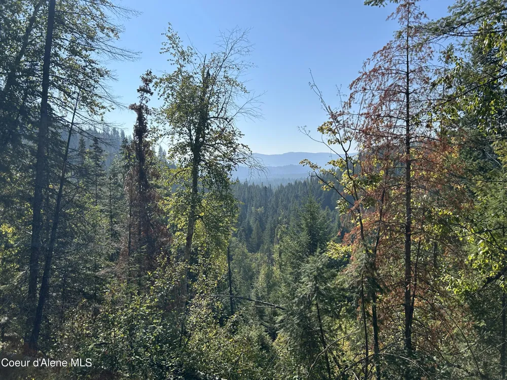 Tract 3 USFS 2294 Clark Fork, ID 83811