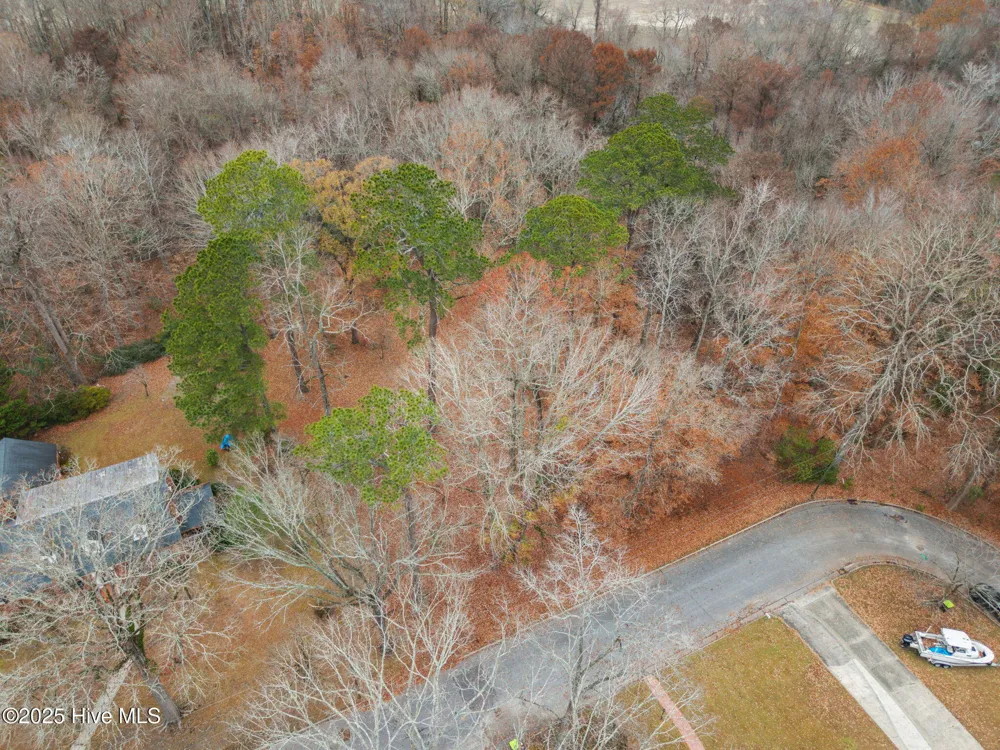 203 W Woodlawn Drive Williamston, NC 27892
