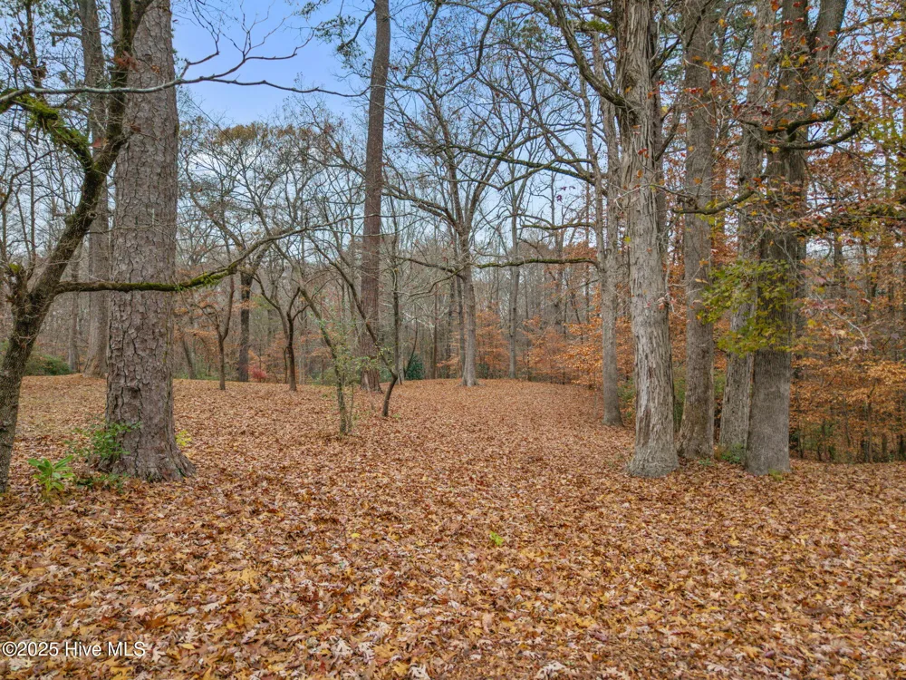 203 W Woodlawn Drive Williamston, NC 27892