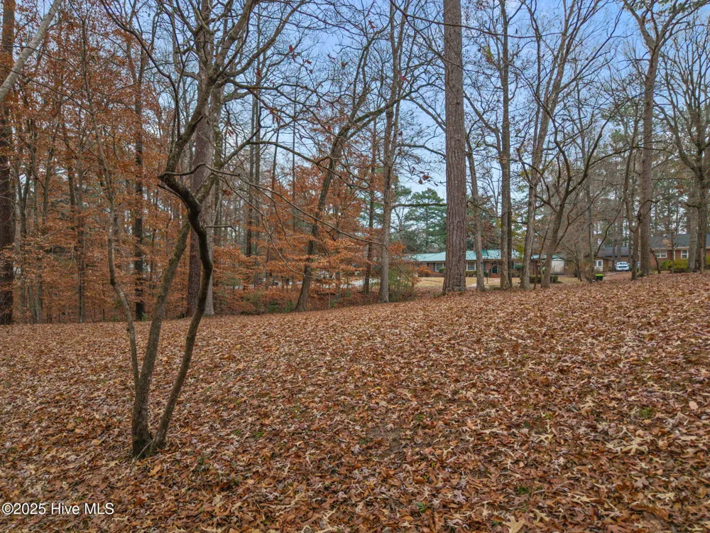 203 W Woodlawn Drive Williamston, NC 27892