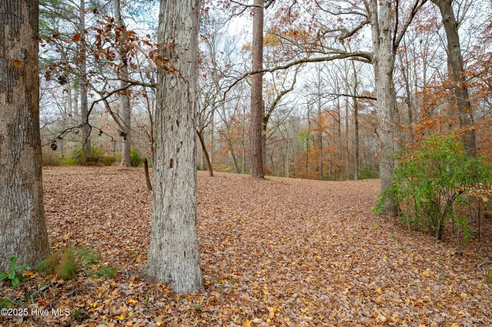 203 W Woodlawn Drive Williamston, NC 27892