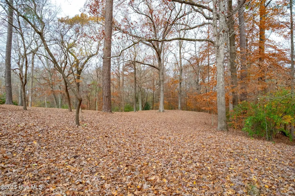 203 W Woodlawn Drive Williamston, NC 27892