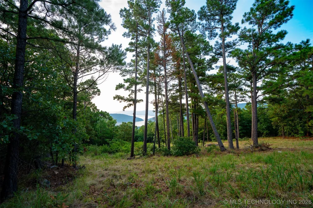 Savage Road Clayton, OK 74536
