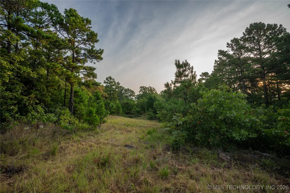 Savage Road Clayton, OK 74536