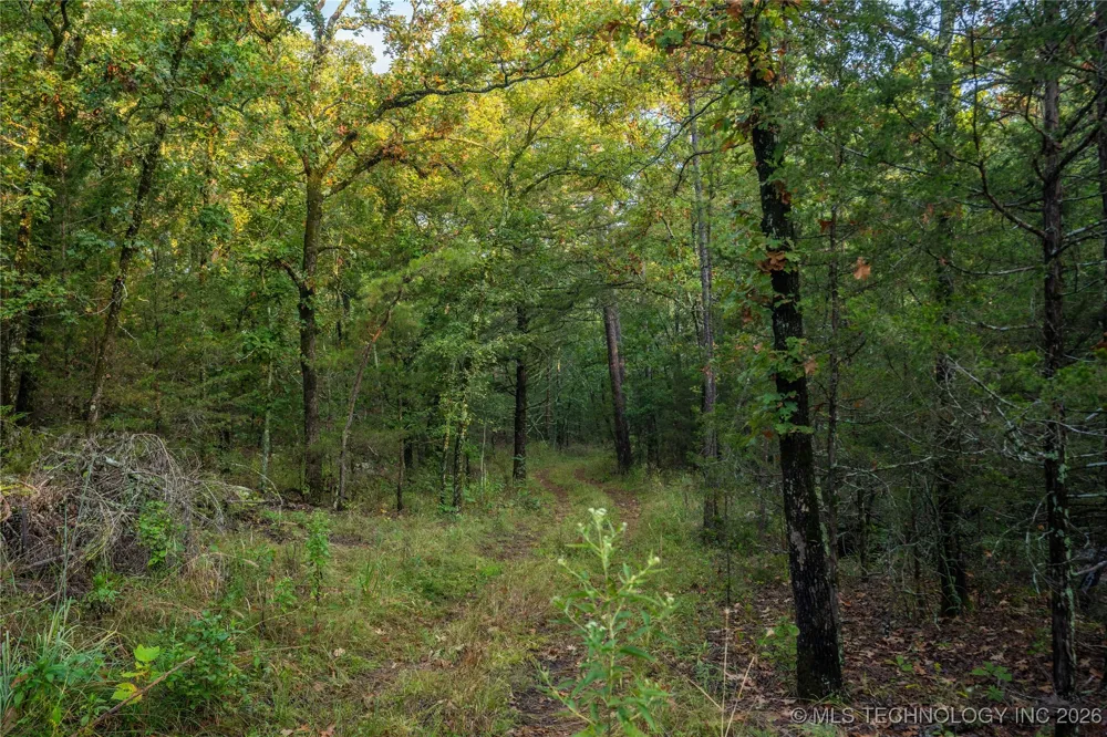 Savage Road Clayton, OK 74536
