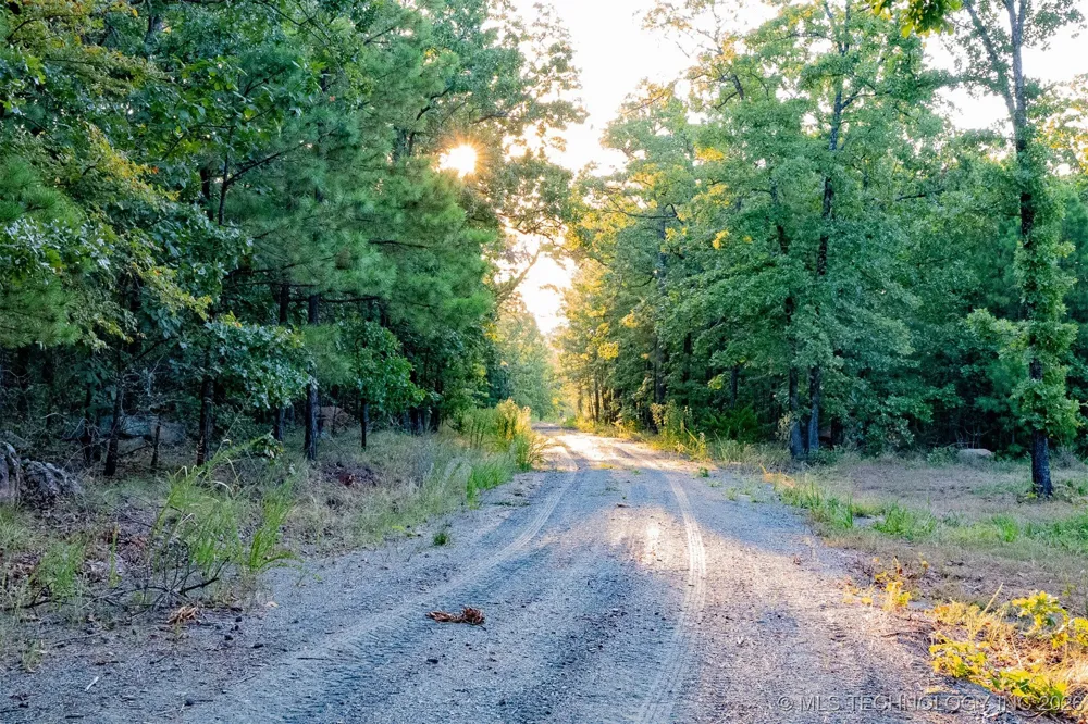 Savage Road Clayton, OK 74536