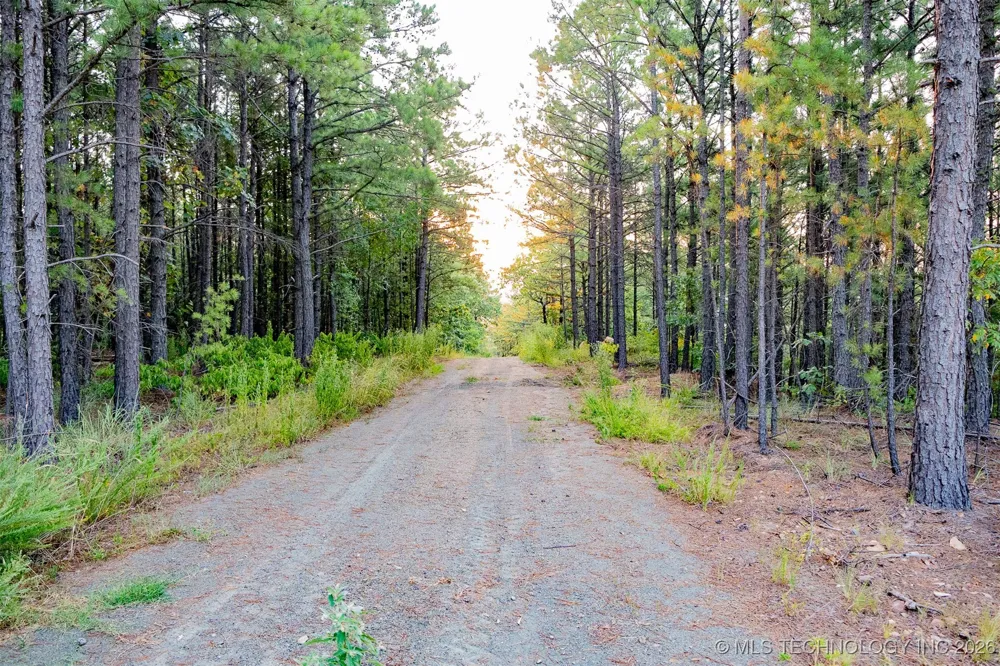 Savage Road Clayton, OK 74536