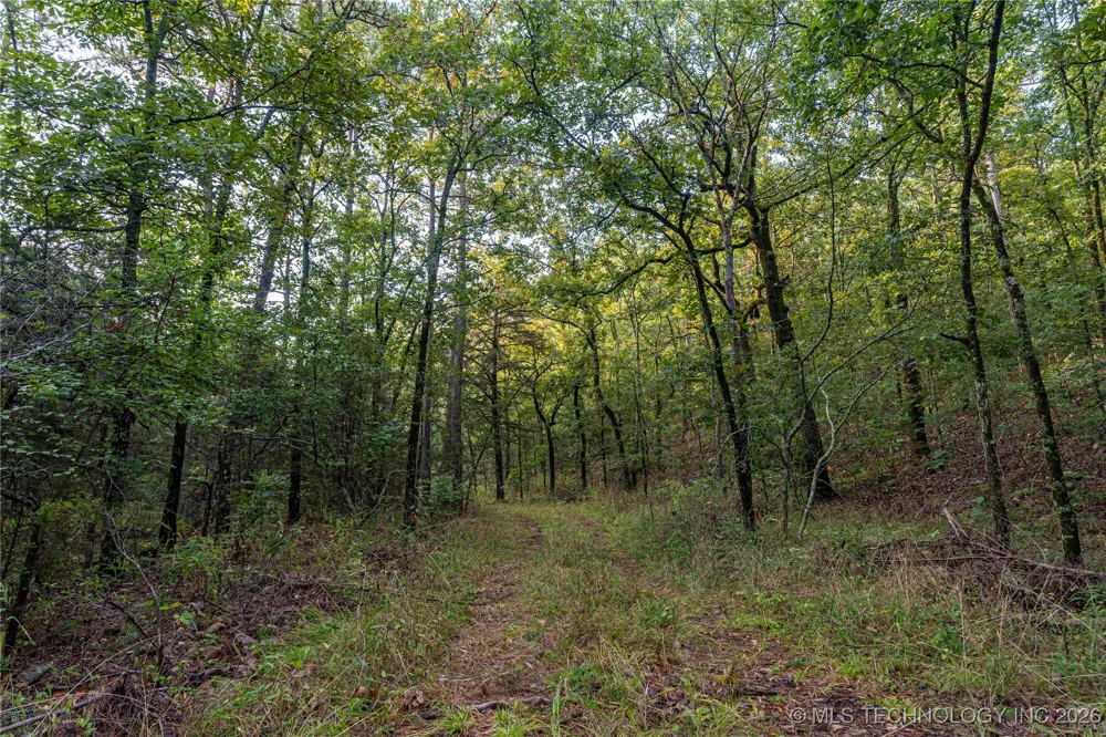 Savage Road Clayton, OK 74536