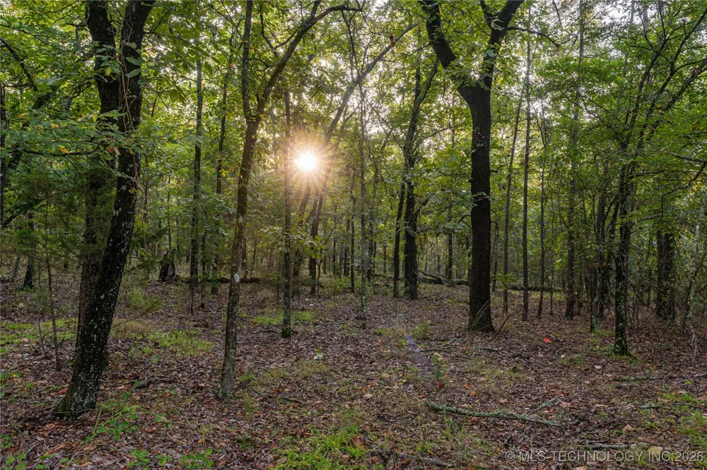 Savage Road Clayton, OK 74536
