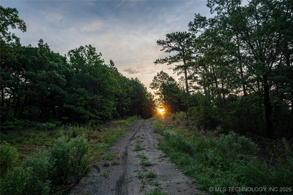 Savage Road Clayton, OK 74536