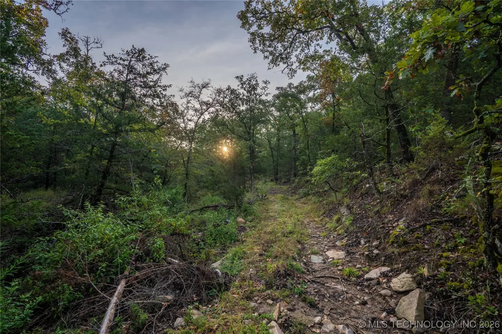 Savage Road Clayton, OK 74536