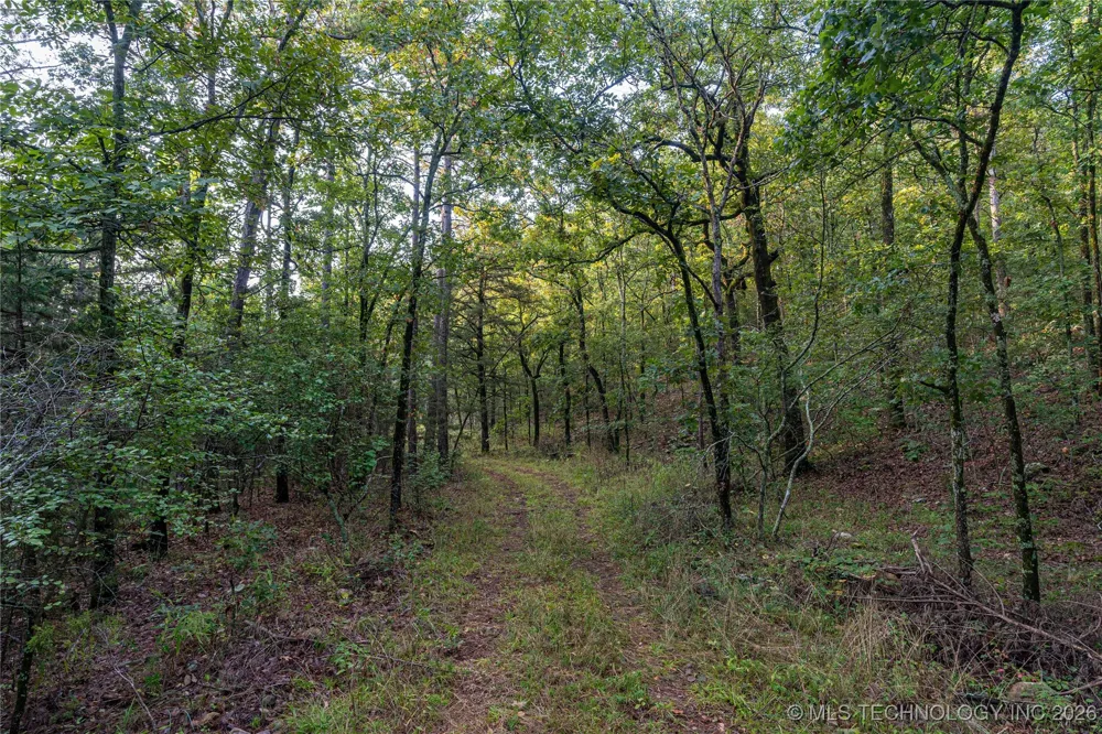 Savage Road Clayton, OK 74536