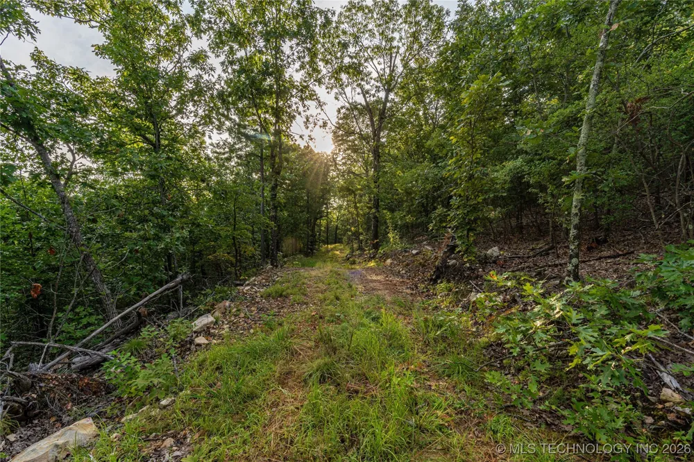 Savage Road Clayton, OK 74536