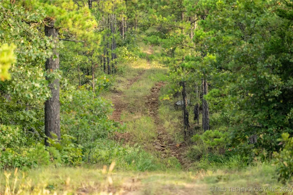 Savage Road Clayton, OK 74536