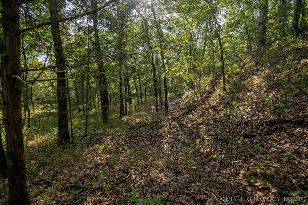 Savage Road Clayton, OK 74536