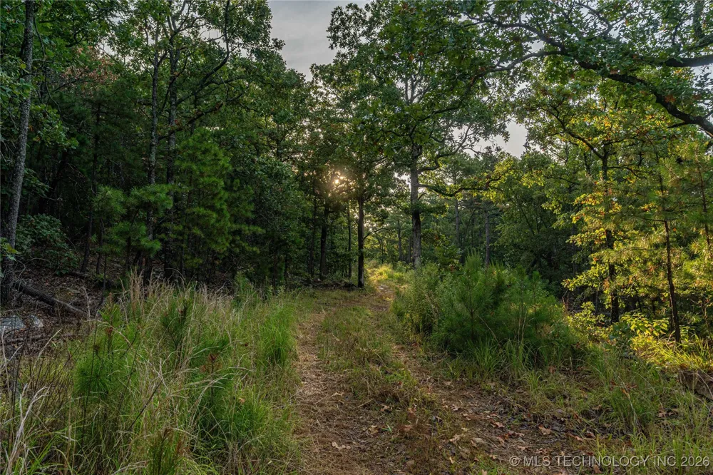 Savage Road Clayton, OK 74536