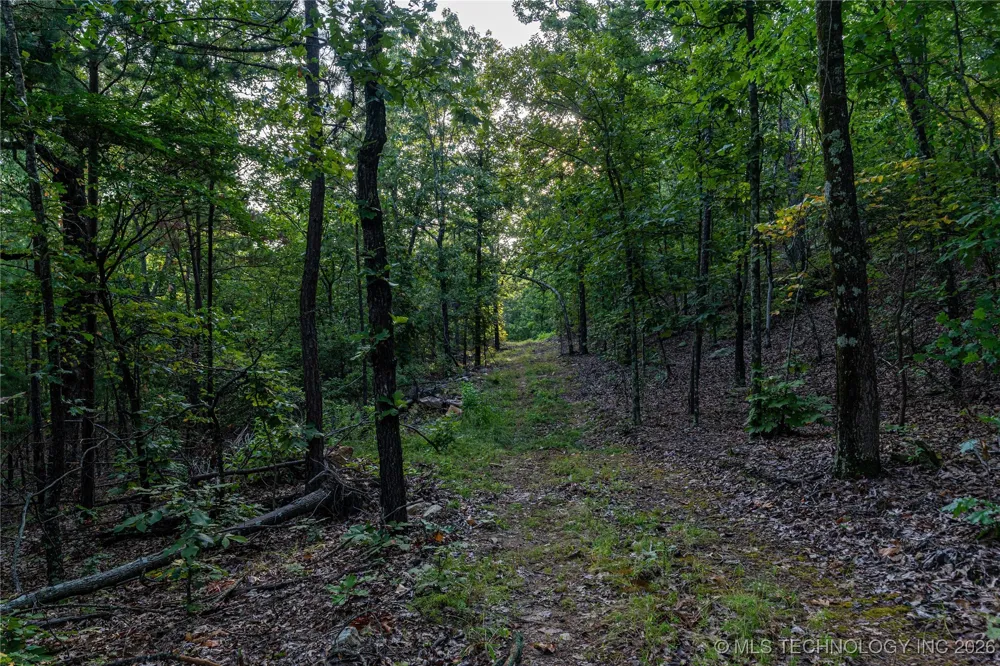 Savage Road Clayton, OK 74536
