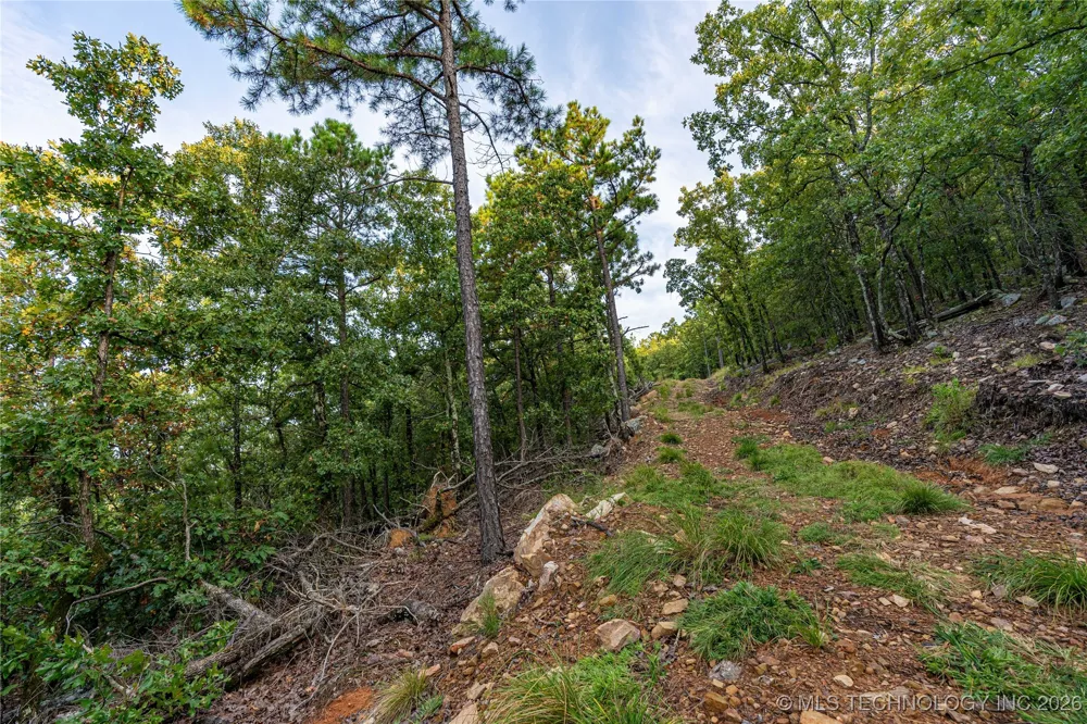 Savage Road Clayton, OK 74536