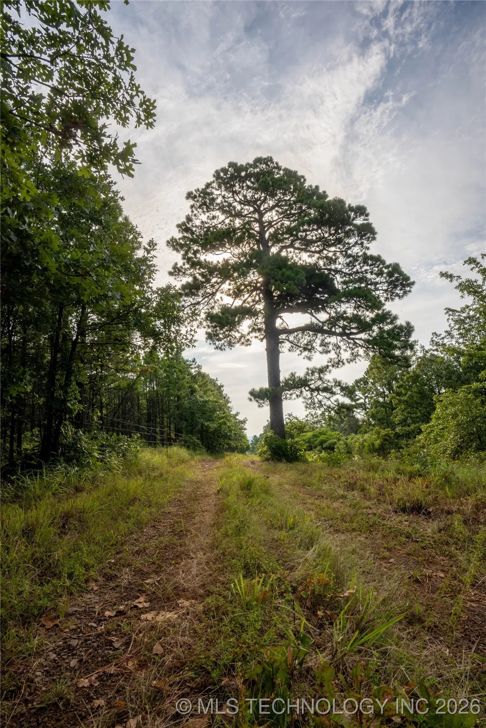 Savage Road Clayton, OK 74536