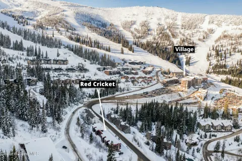 8754 Schweitzer Mountain Road #20