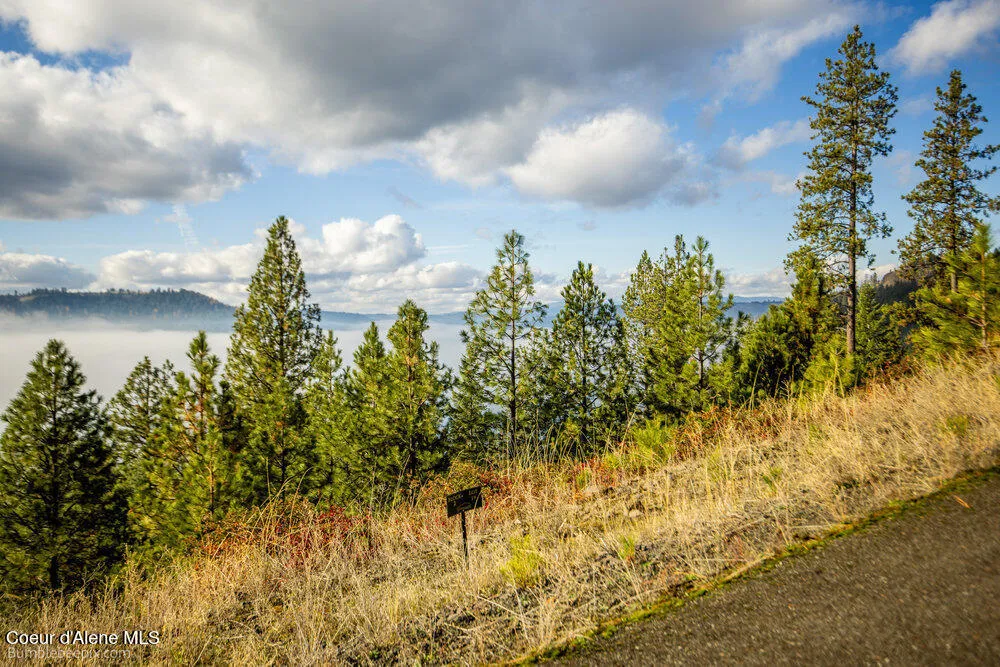 NNA Ledgestone Road Harrison, ID 83833