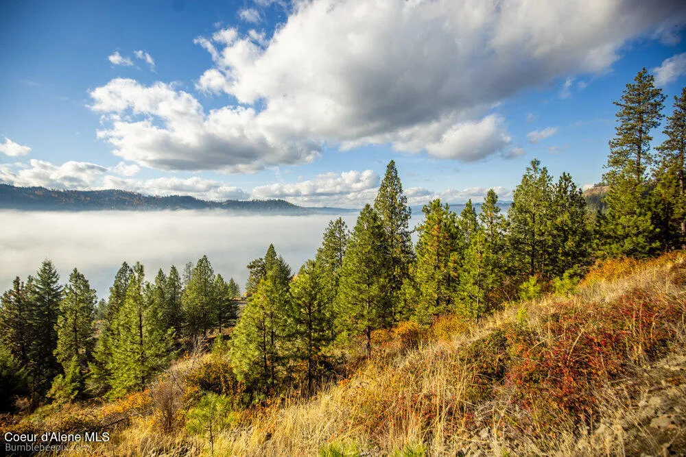NNA Ledgestone Road Harrison, ID 83833