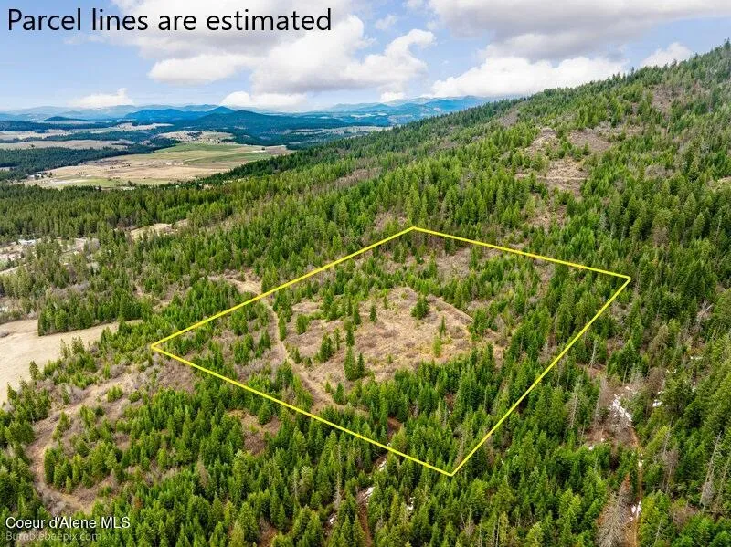 497 Thimbleberry Lane Plummer, ID 83851