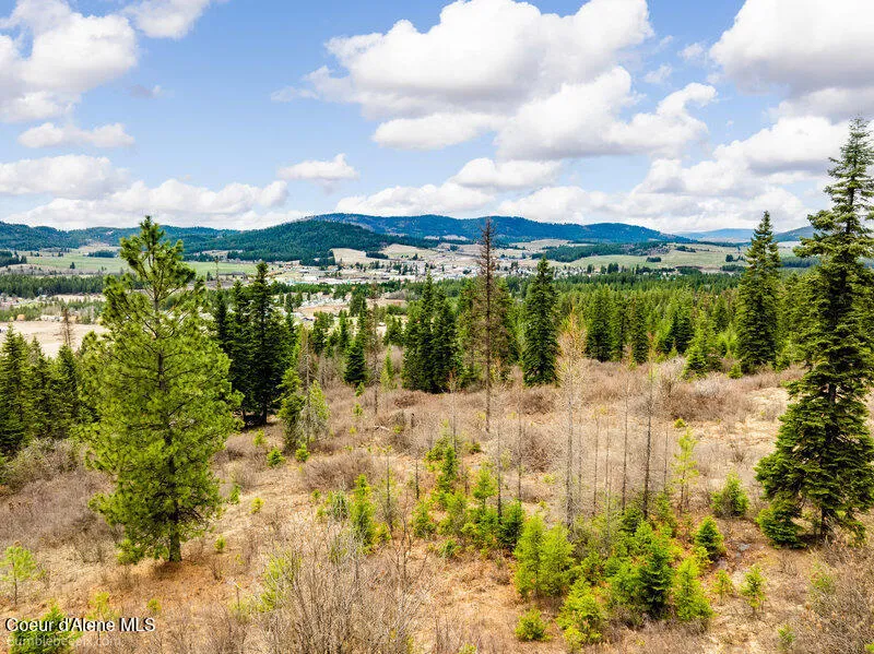 497 Thimbleberry Lane Plummer, ID 83851
