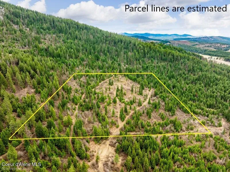 497 Thimbleberry Lane Plummer, ID 83851