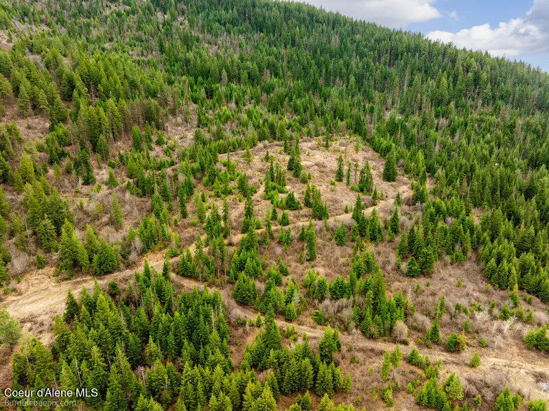 497 Thimbleberry Lane Plummer, ID 83851