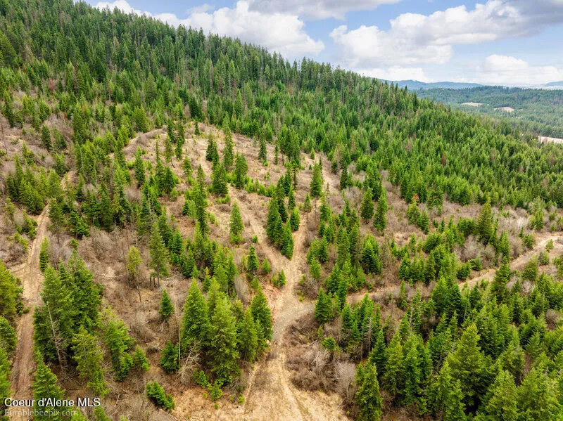 497 Thimbleberry Lane Plummer, ID 83851