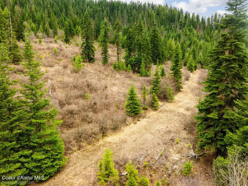 497 Thimbleberry Lane Plummer, ID 83851