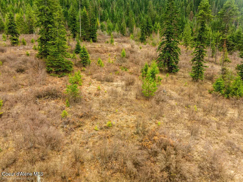 497 Thimbleberry Lane Plummer, ID 83851