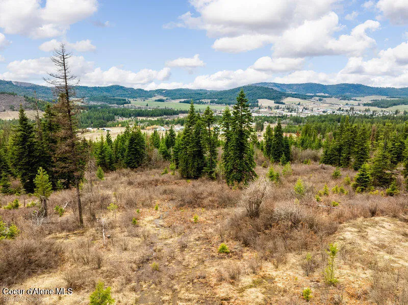 497 Thimbleberry Lane Plummer, ID 83851