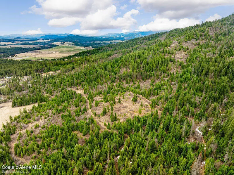 497 Thimbleberry Lane Plummer, ID 83851