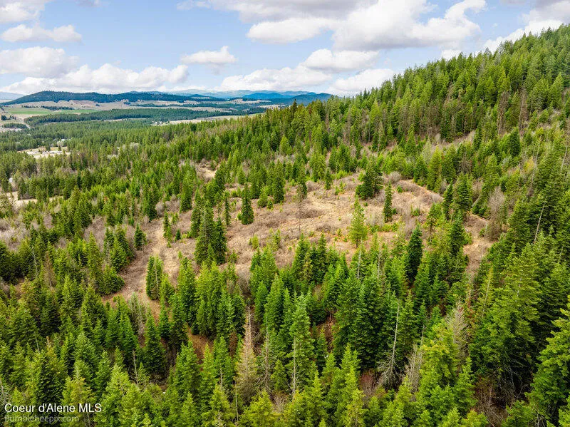497 Thimbleberry Lane Plummer, ID 83851