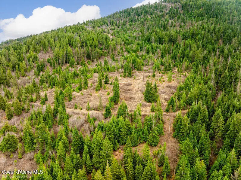 497 Thimbleberry Lane Plummer, ID 83851