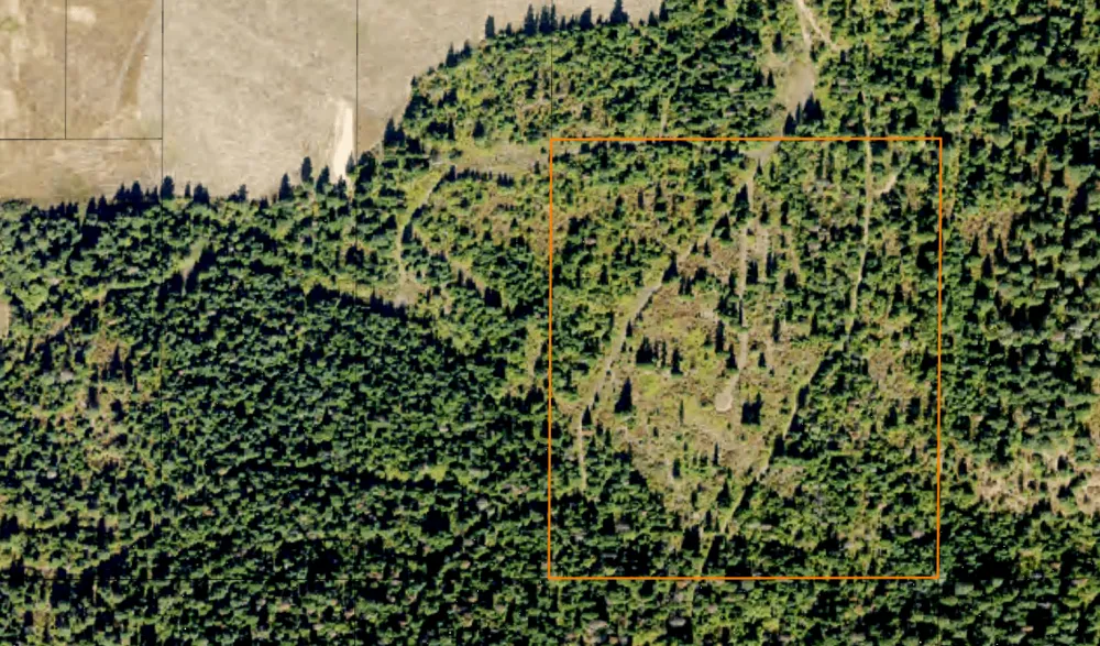 497 Thimbleberry Lane Plummer, ID 83851