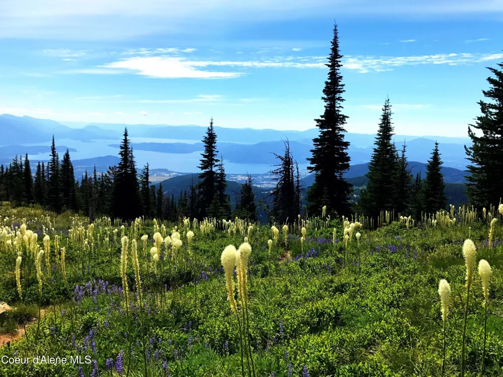 5 Crystal Springs Road Sandpoint, ID 83864
