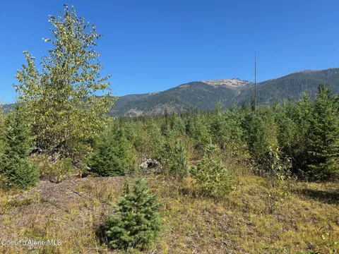 Tract 4 USFS 2294
