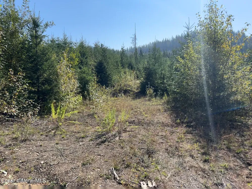 Tract 4 USFS 2294 Clark Fork, ID 83811