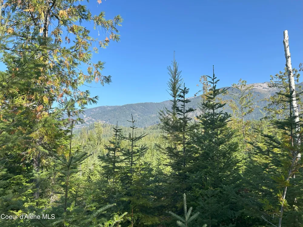 Tract 4 USFS 2294 Clark Fork, ID 83811